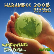 HARAMBEE ISPETTORIALE 2008